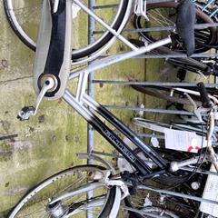 Bicicleta masculina alta, segons ha informat Stadswerk072 mitjançant iLost