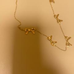 Halskette, gemeldet von Pathé Schiedam über iLost