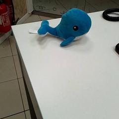 Peluxea, gisa salatu by ilévia iLost erabiliz