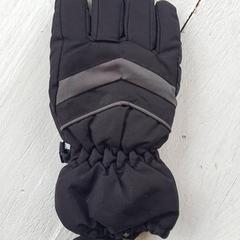 グローブ Zwart がiLostで DierenPark Amersfoort によって報告されました