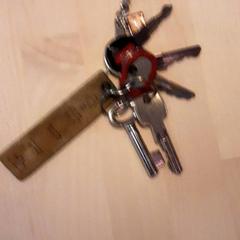 Clau Sleutelbos, segons ha informat LUMC mitjançant iLost