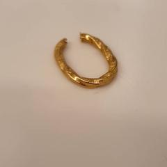 Náušnice Goud kleurig, jak nahlášeno HvA Amstelcampus pomocí iLost