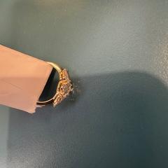 Ring, gemeldet von Room Mate Bruno über iLost