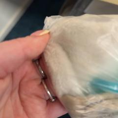 Tetina, como reportado por De Tovertuin utilizando o iLost