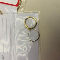 Prsteň zilver/goud, ako bolo nahlásené Alrijne Leiden pomocou iLost