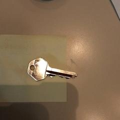 Nyckel Zilverkleurig, rapporterat av LUMC med iLost