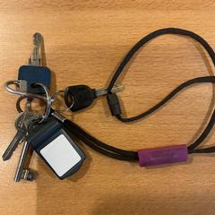 鍵 がiLostで Gemeente Amsterdam - Bureau Gevonden Voorwerpen によって報告されました