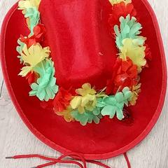 Carnavalskleding, come riportato da Arriva Limburg Zuid utilizzando iLost