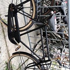 Pánsky bicykel gazelle, ako bolo nahlásené Stadswerk072 pomocou iLost