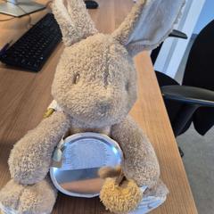 Peluche konijn beige, come riportato da Connexxion Zeeland utilizzando iLost