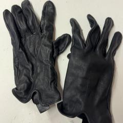 Gloves, as reported by GVB using iLost