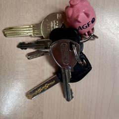 Key, as reported by IKEA Grenoble using iLost