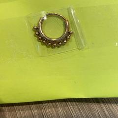 İLost kullanarak Van der Valk Hotel Apeldoorn - De Cantharel tarafından bildirildiği gibi Oorbel