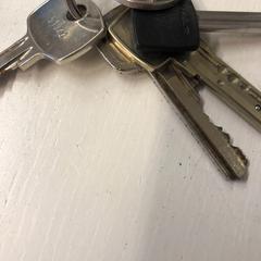 Sleutelbos, zgłoszono przez komm schon Alter / De Zon przy użyciu iLost