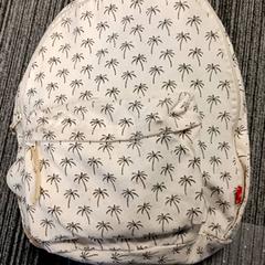 Backpack, as reported by Arriva Vechtdallijnen using iLost