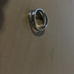 Anel Steentjes, segundo informou Jaarbeurs usando iLost