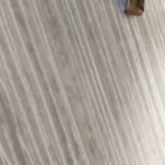 Schlüssel, gemeldet von Regio Antwerpen - Brussel über iLost