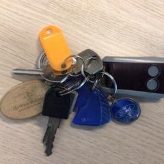 열쇠, iLost를 사용하여 Gemeente Arnhem에 보고됨