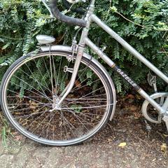 Gazelle fiets Tour de France, som rapporterats till iLost