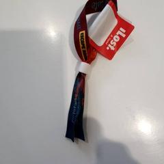 Wristband, as reported by Zwarte Cross (Gemeentehuis) using iLost