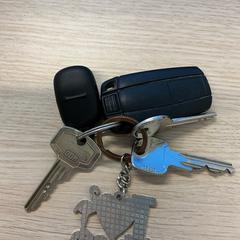 Claus, segons ha informat Gemeente Arnhem mitjançant iLost