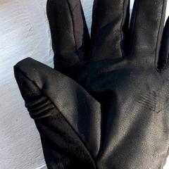 Guanto Zwart, come riportato da DierenPark Amersfoort utilizzando iLost