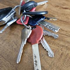 Sleutelbos, as reported to iLost