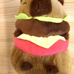Knuffel Bruin, as reported by Arriva Den Bosch using iLost