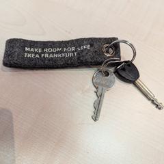 Sleutelbos, segons s'ha informat a iLost