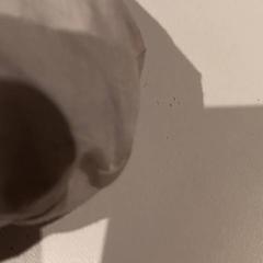 Taška, ako bolo nahlásené De Efteling pomocou iLost