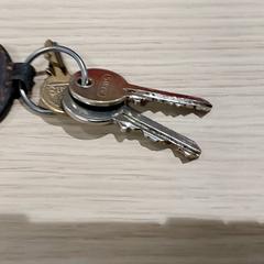 Sleutels がiLostで Centraal magazijn によって報告されました