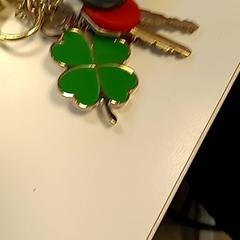 Keys, as reported by U-OV Amersfoort using iLost