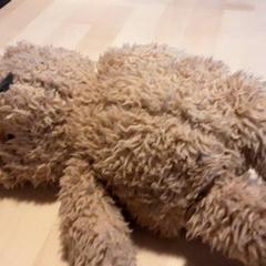 장난감 Tedparkeergarage, iLost를 사용하여 LUMC에 보고됨