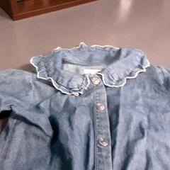 İLost kullanarak Diergaarde Blijdorp tarafından bildirildiği gibi Blouse kind