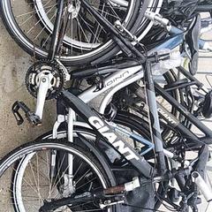 Pánské kolo Giant, jak nahlášeno Stadswerk072 pomocí iLost