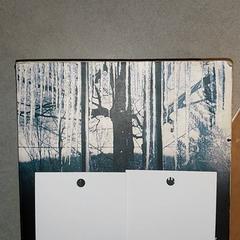 Literatura - Boek, segons ha informat Regio Antwerpen - Brussel mitjançant iLost