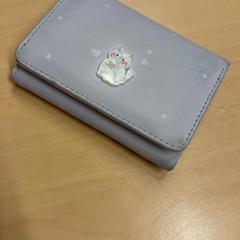 Peňaženka, ako bolo nahlásené RET pomocou iLost