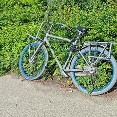 Blauw grijze gazelle fiets, iLost에 보고됨