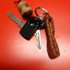 自転車の鍵 fiettsseutel がiLostで UvA REC によって報告されました