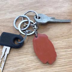 Llaves Mini snackbar sleutelhanger, ha sido reportado por Gemeente Alkmaar con iLost