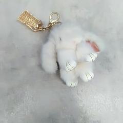 Porte-clés, a été signalé par IKEA Malmö utilisant iLost