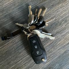 Sleutelbos, iLost'a bildirildiği gibi