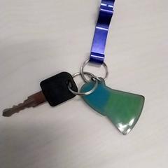 Key, as reported by Arriva Limburg Zuid using iLost