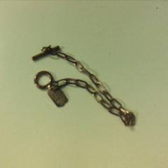 Armband Goud, chain, zoals gemeld door Avonturenpark Hellendoorn met iLost