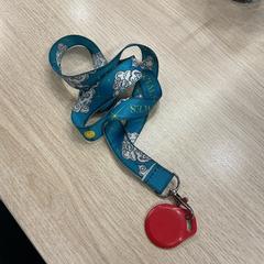 Porte clé collier, a été signalé par Gemeente Arnhem utilisant iLost