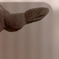 Speenkoord, segons ha informat De Efteling mitjançant iLost