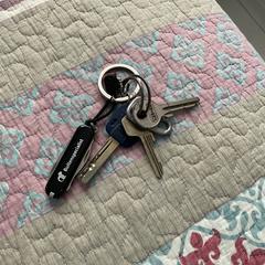 Sleutelbos, gerapporteerd met iLost