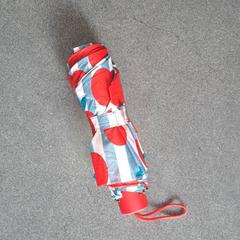 İLost kullanarak Regio West-Vlaanderen tarafından bildirildiği gibi Şemsiye