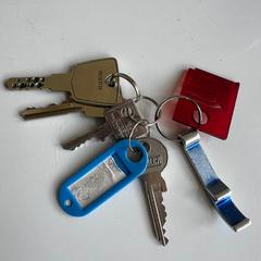 sleutelbos, jak zgłoszono do iLost