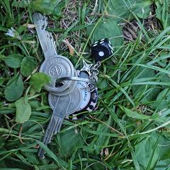 Sleutel - keys, segons s'ha informat a iLost